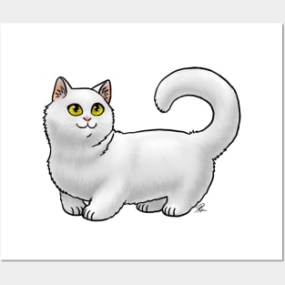 Cat - Munchkin Cat - White Shorthair Posters and Art